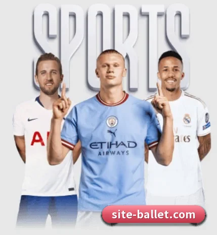 本站五个常用功能入口,赛程查询路径更短 - 多运动项目内容板块 | BBSPORTS