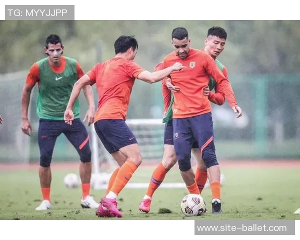 苗原透露泰山外援中卫选择在即更倾向苏超明星布斯里加入球队